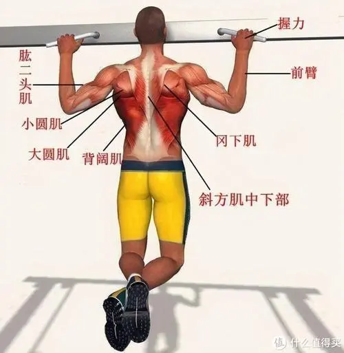 提升心肺功能、强化肌肉：踏步机使你更健康